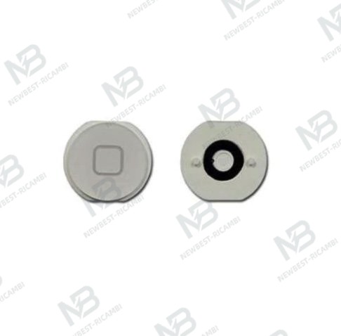 ipad mini 1/2 home button white