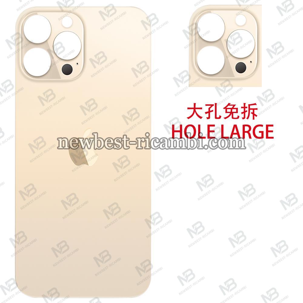 iPhone  13 Pro Back Cover Glass Hole Large Gold