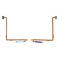 TCL 30+ Flex ID Touch Blue