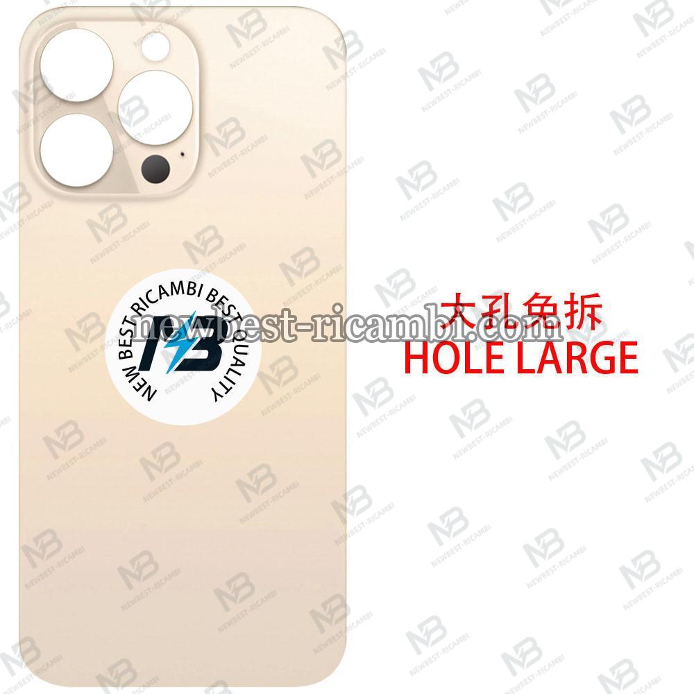 iPhone  13 Pro Back Cover Glass Hole Large Gold
