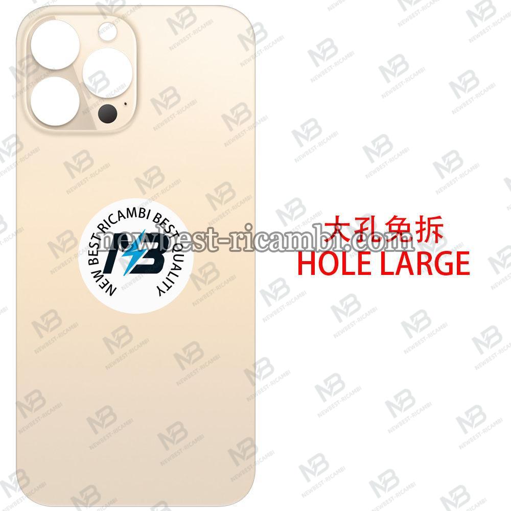iPhone 13 Pro Max Back Cover Glass Hole Large Gold