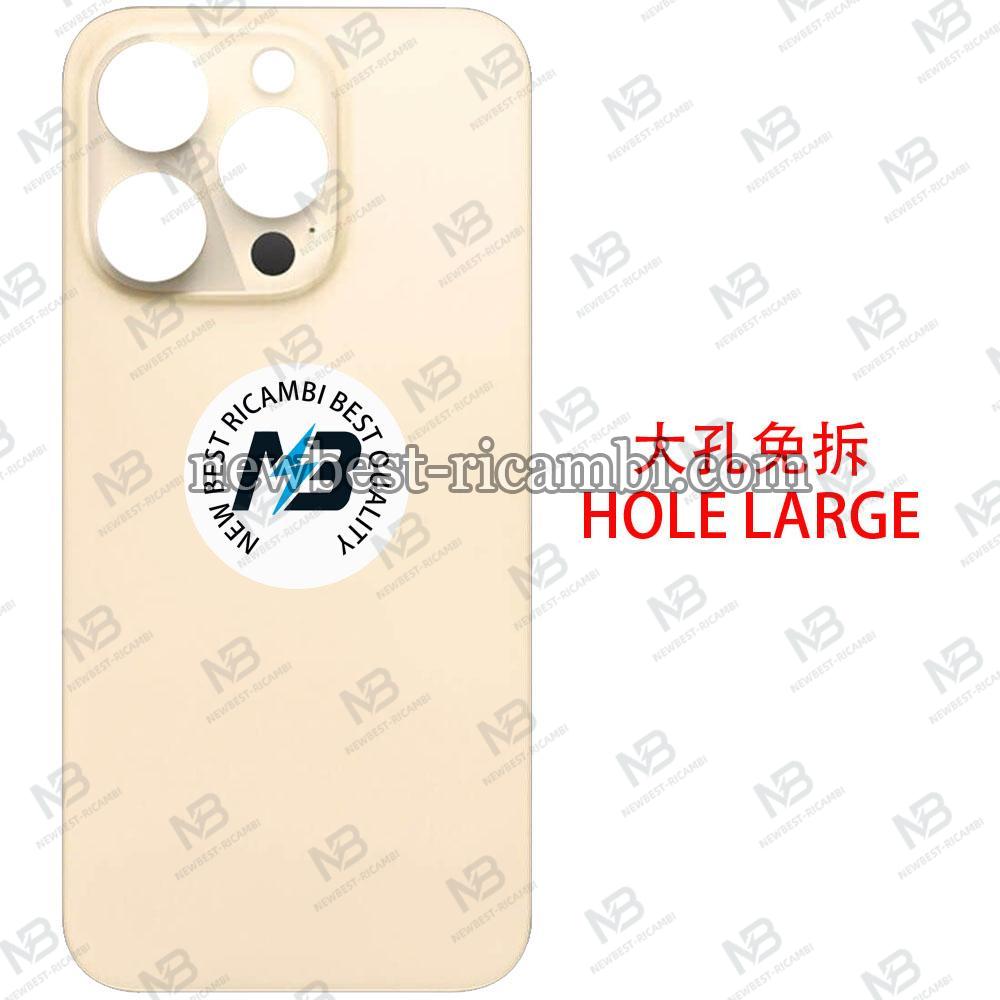 iPhone 14 Pro Max Back Cover Glass Hole Large Gold