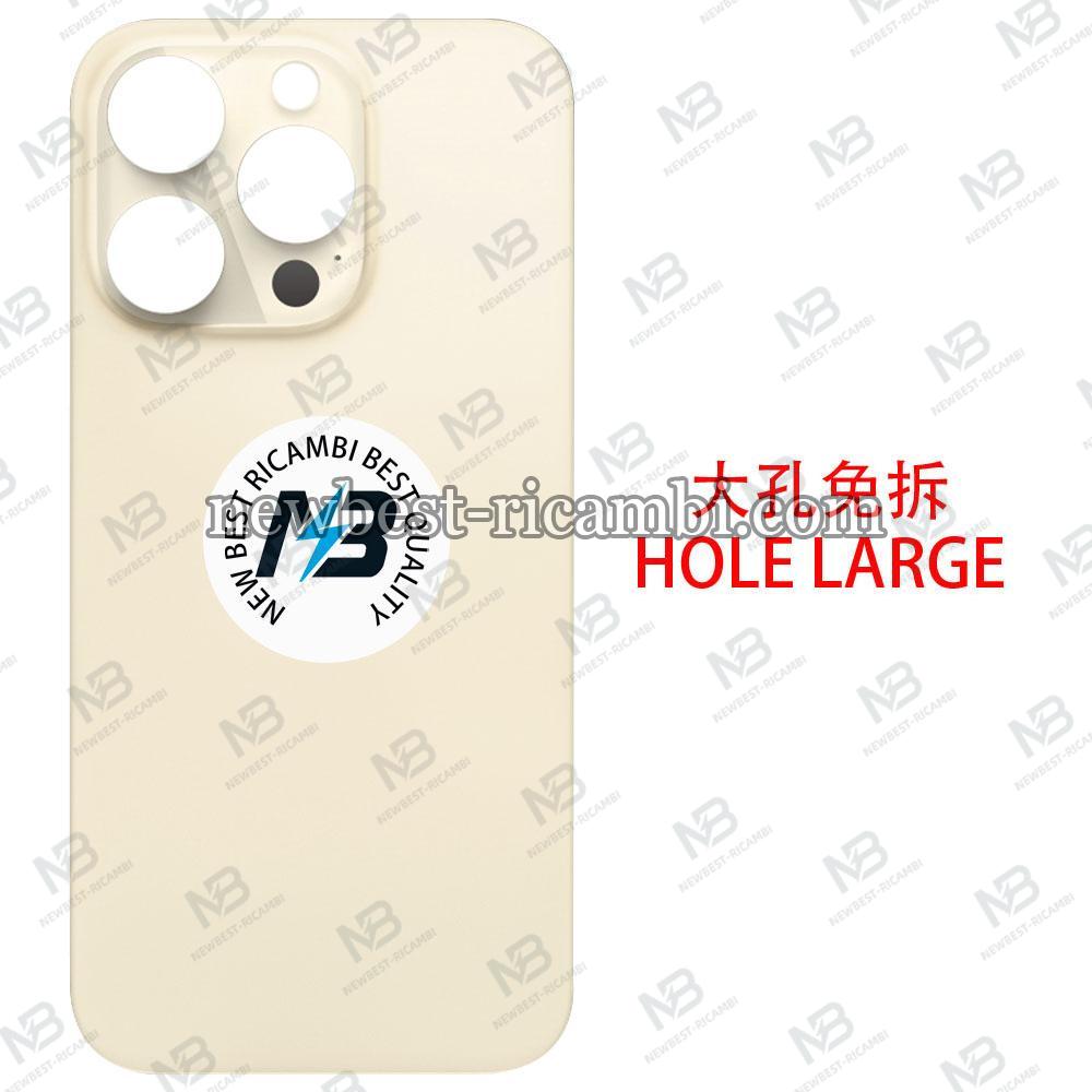 iPhone 14 Pro Back Cover Glass Hole Large Gold