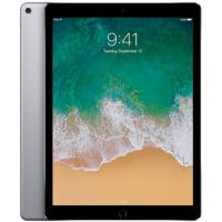 iPad Pro 12.9-inch (2nd generation) Wi-Fi + Cellular 256GB Grey Grade A Bulk 